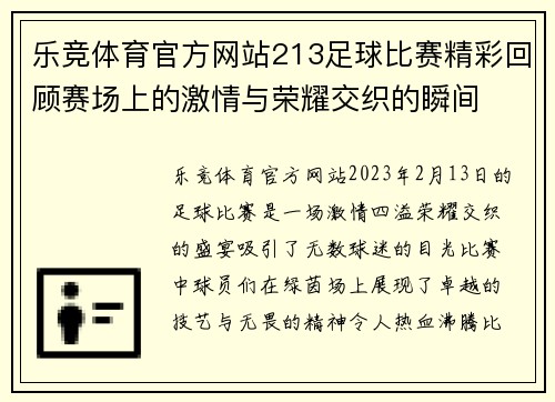 乐竞体育官方网站213足球比赛精彩回顾赛场上的激情与荣耀交织的瞬间